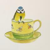 Bluetit on a Teacup