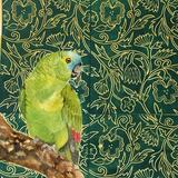 Amazonian Green Parrot