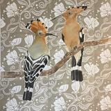 Hoopoes