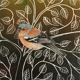 Chaffinch