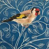 Goldfinch