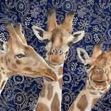 Three Giraffes