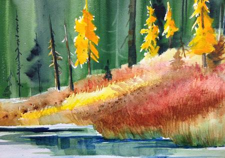 Study - shoreline detail