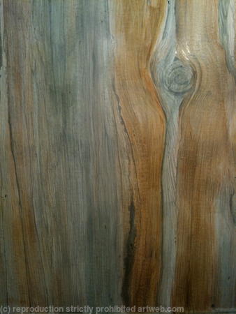 Silverpoint Plank #1