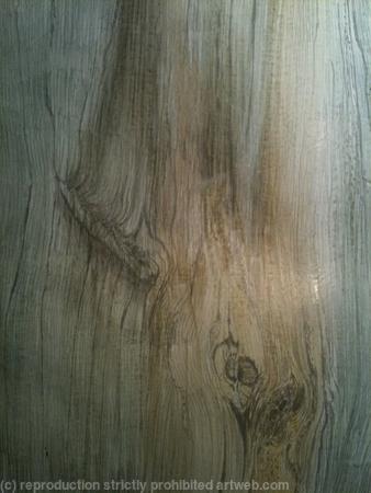 Silverpoint Plank #2