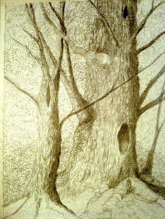 Silverpoint Tree