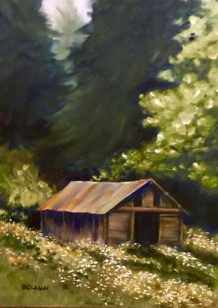 Pine County Fixer-Upper