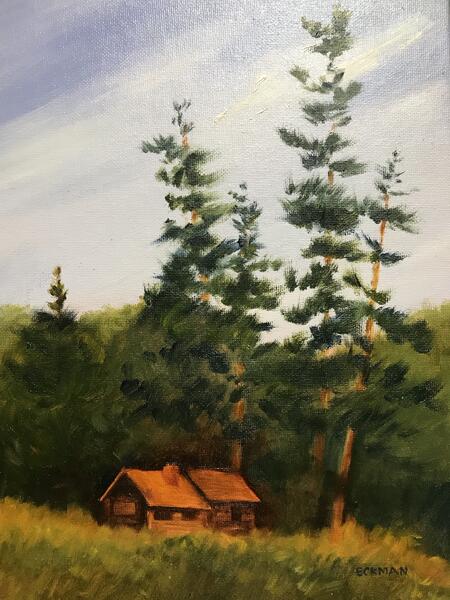 Cabin at Virgin Timbers