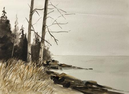 Tofte Shoreline