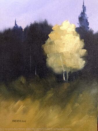 Aspen Study #1