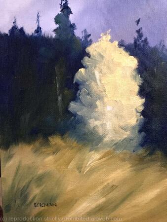 Aspen Study #2