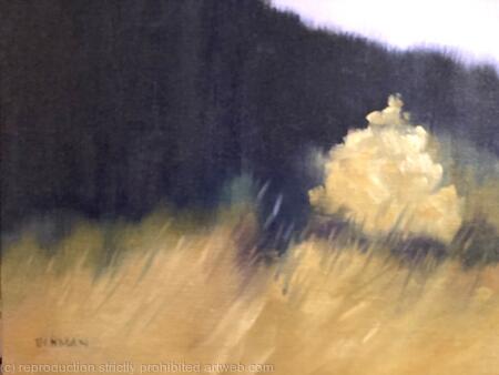 Aspen Study #3