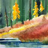 Study - shoreline detail