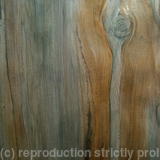 Silverpoint Plank #1