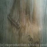 Silverpoint Plank #2