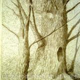 Silverpoint Tree
