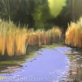 Greenberg Island, Saint Croix River #3