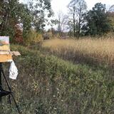 Painting outdoors (en plein air)