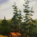 Cabin at Virgin Timbers