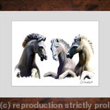 Tre Cavalli (Framed)