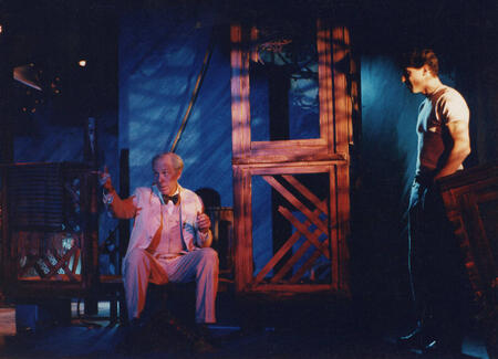 The madman of the Balconies, Mario Vargas Jose