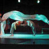 The Fisherman and the Turtle, Common Ground Theatre co