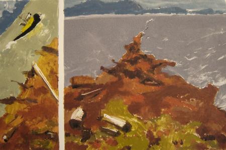 Iona Island - Automn 2