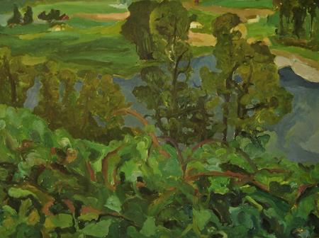 Fraser at Mission  2