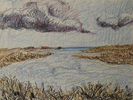 Ladner - Fraser River Estuary