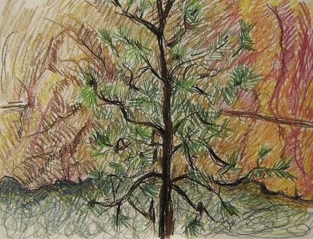 Thompson River Canyon - 2