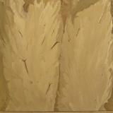 Thompson River Canyon - 1