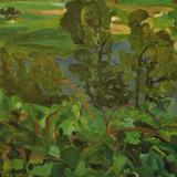 Fraser at Mission  2