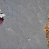 Ignacio C.- Burrard Inlet