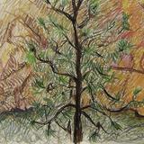 Thompson River Canyon - 2