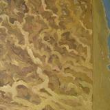 Fraser River & Georgia Strait