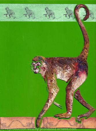 Spider Monkey: Animals of the Caribbean series