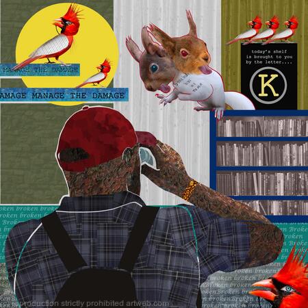 Birdwatching in the library: Manage the damage