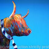 Old School ties: Highlander