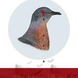 Passenger pigeon