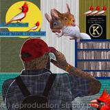 Birdwatching in the library: Manage the damage