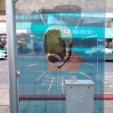 Just some guy...thinking about clouds: Public Art installation