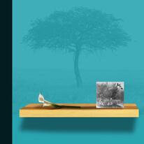 hidden Giraffidae (after G…