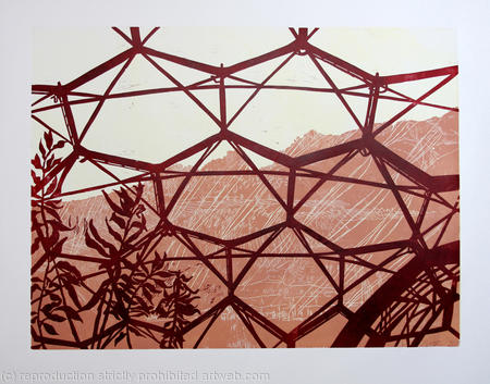 Temperate Biome The Eden Project