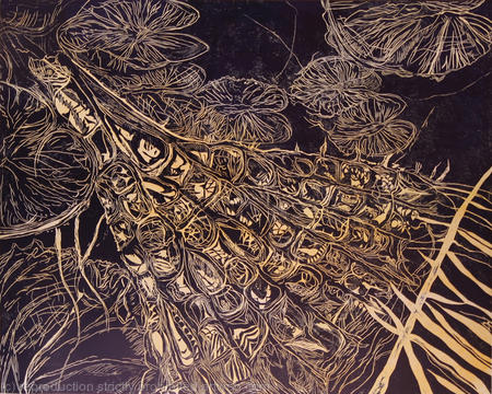 Amazonica X Cruziana