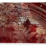 Where Nature & Culture Meet II