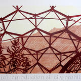 Temperate Biome The Eden Project