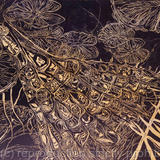 Amazonica X Cruziana