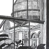 'Beyond The Window' Syon Park