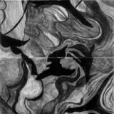 Decaying Plant Matter