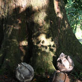 Ceramic Horse Chesnuts